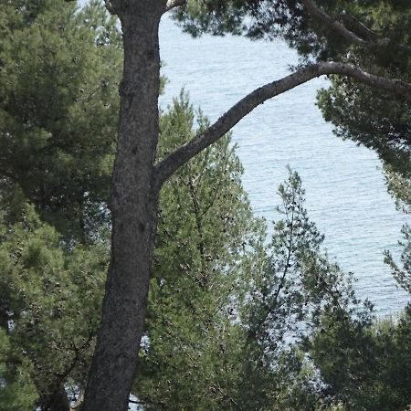 Residence Alouettes Hyères Kültér fotó