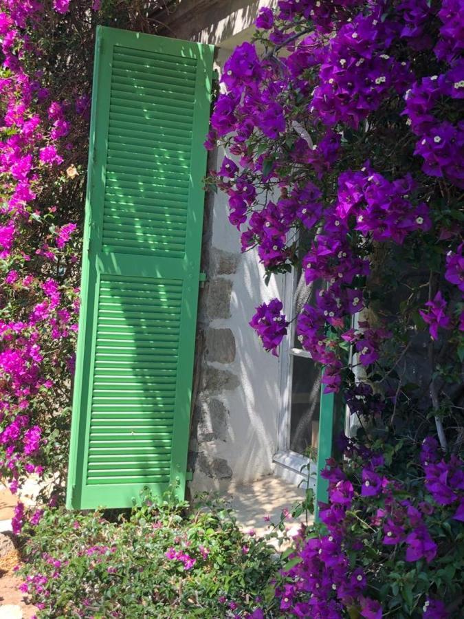 Residence Alouettes Hyères Kültér fotó